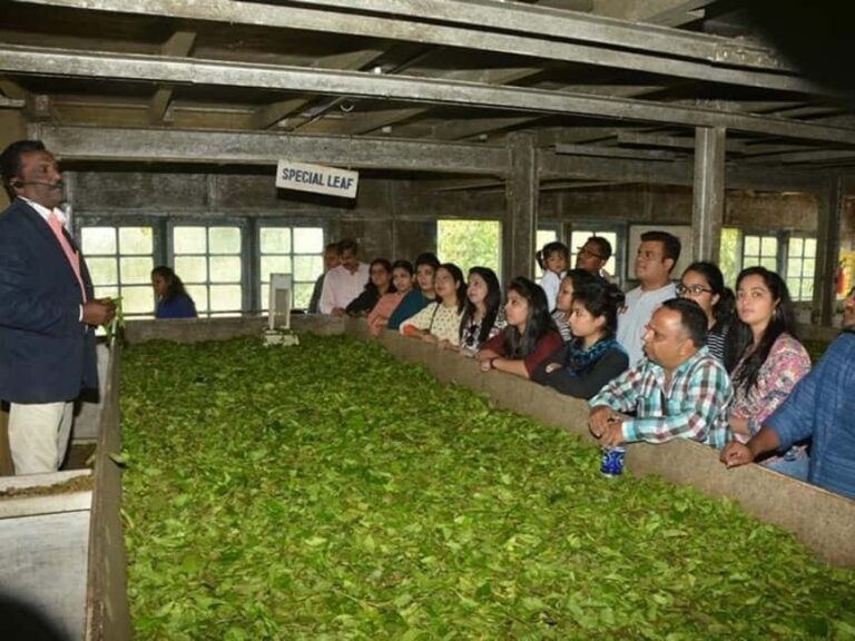 From Munnar: Tea Factory, Plantation, and National Park Tour - Practicalities and What to Expect