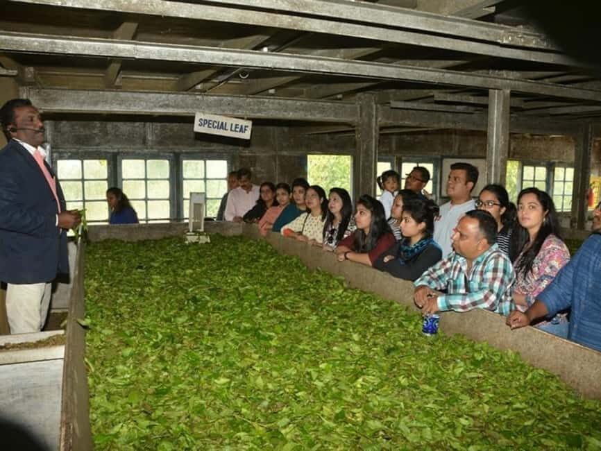 From Munnar: Tea Factory, Plantation, and National Park Tour - Practicalities and What to Expect