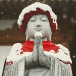 From Myoko Kogen: Snow Monkey Park and Zenkoji Temple Tour - Why This Tour Offers Great Value