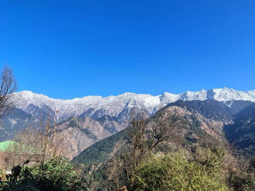 From Naddi: Guided Himalayan Nomad Culture & Nature Walk - What the Tour Offers in Detail