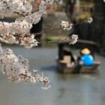 From Nagoya: Castles and Canals in Hikone and Omi Hachiman - An In-Depth Look at the Tour Experience