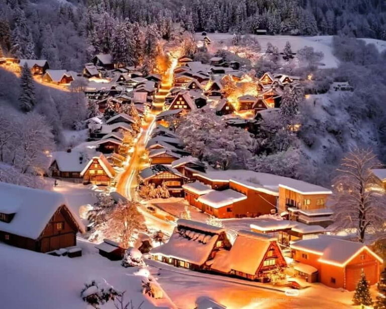 From Nagoya: Hida Takayama and Shirakawa-go Winter Day Tour - Who Should Book This Tour?