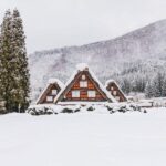 From Nagoya: Hida Takayama and World Heritage Shirakawa-go - Analyzing the Value