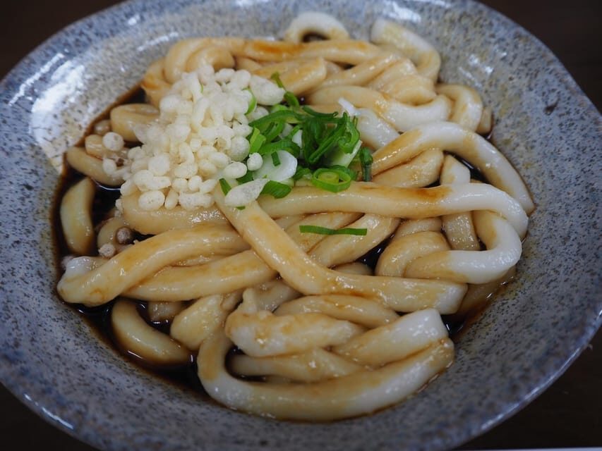 From Nagoya: Ises Sacred Shrines and Captivating Coastlines - A Deep Dive into the Tour Experience