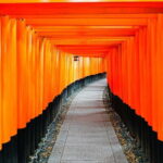 From Nagoya: Kyoto Day Tour with Kobe Beef Shabu-Shabu Lunch - The Practical Side: What to Expect