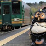 From Nagoya: Myths and Mystery of Ninja and the Tokaido Road - The Value of This Tour