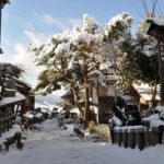 From Nagoya: Soba Cooking Class & Nakasendo Traditions - Practical Details and Tips