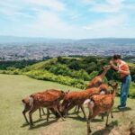 From Nara:Half-Day Bus Tour to UNESCO Heritage&Mt. Wakakusa - Value and Practical Considerations