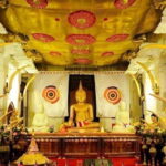 From Negombo: 2-Day Nuwara Eliya & Kandy Tour with Transfer - Why This Tour Works