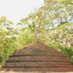 From Negombo: Dambadeniya, Yapahuwa, and Panduwasnuwara Tour - What We Love About This Tour