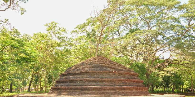 From Negombo: Dambadeniya, Yapahuwa, and Panduwasnuwara Tour - What We Love About This Tour