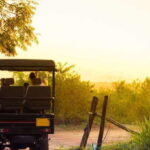 From Negombo: Minneriya National Park Safari Tour - What Makes This Tour Stand Out?