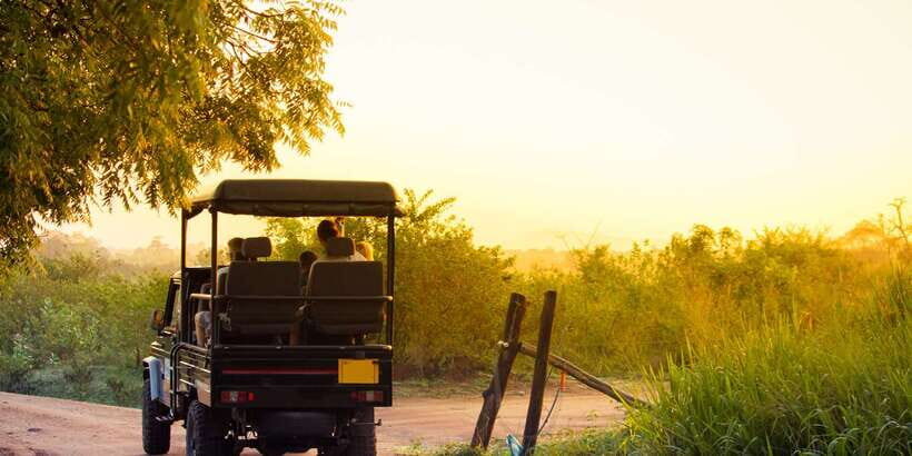 From Negombo: Minneriya National Park Safari Tour - What Makes This Tour Stand Out?