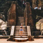 From Negombo: Sigiriya and Dambulla Day Trip and Safari - What the Reviews Say