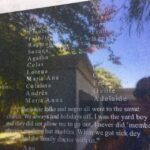 From New Orleans: Whitney and Laura Guided Plantation Tour - A Deep Dive into the Experience