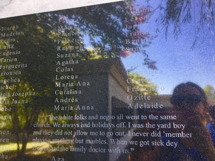 From New Orleans: Whitney and Laura Guided Plantation Tour - A Deep Dive into the Experience