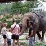 From Nha Trang: 1 Day Dalat Tour - What Travelers Say