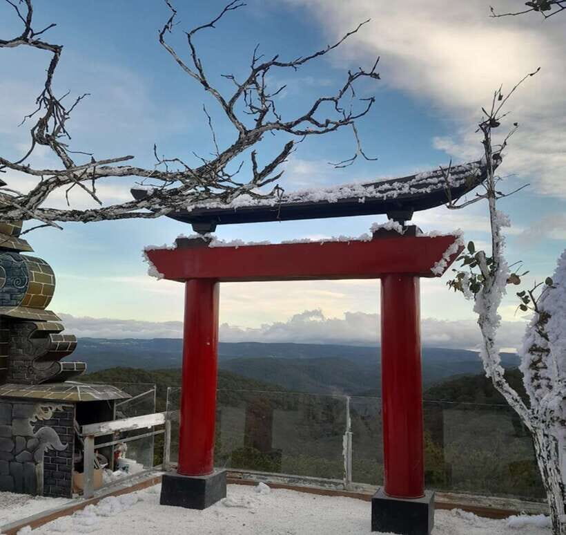 From Nha Trang: Day Trip to DaLat with Lunch - Authentic Experiences and Practical Considerations