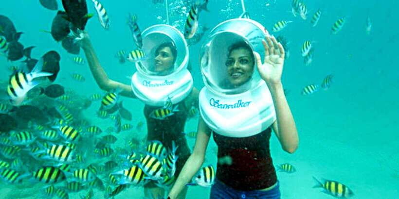 From Nha Trang: Sea Walking Explore Coral Reef- Daily Tour - What Makes This Tour Special?