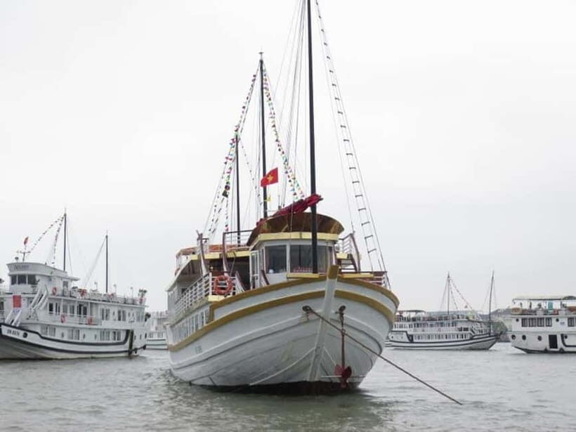 From NinhBinh: 2-Day 1Night itinerary Bai Tu Long Bay cruise - The Experience in Detail