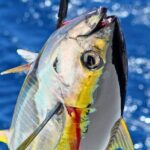 From Onna Village (Maeda Fishing Port)!Fishing and Trolling | Fully Chartered Boat Plan (3-Hour/6-Hour Course) - Detailed Review of the Fishing Tour Experience