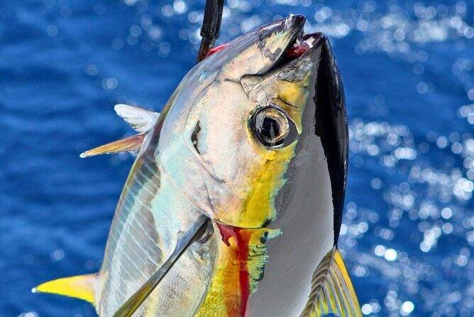 From Onna Village (Maeda Fishing Port)!Fishing and Trolling | Fully Chartered Boat Plan (3-Hour/6-Hour Course) - Detailed Review of the Fishing Tour Experience