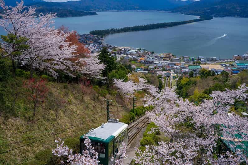 From Osaka: Amanohashidate and Ine Bay Day Trip - A Deep Dive into the Day Trip Experience