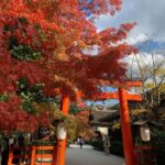 From Osaka/Kyoto: Kyoto Private Day Trip with Pickup - Analyzing the Cost and Value