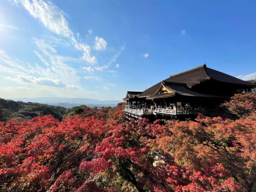 From Osaka/Kyoto: Kyoto UNESCO World Heritage Sites Day Tour - Transportation and Group Size