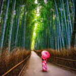 From Osaka: Kyoto Must-see Spots & Nara Park Sightseeing Day Tour - Who Is This Tour Best Suited For?