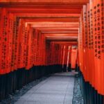 From Osaka/Kyoto: Private Kyoto & Nara Day Trip with Pickup - What’s in the Price?