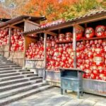 From Osaka/Kyoto : Private Osaka Day Trip w/Pickup & Dropoff - What Our Readers Say