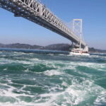 From Osaka: Naruto Whirlpool Boat & Awa Odori 1Day Bus Tour - Possible Drawbacks and Who This Tour Is For