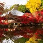 From Osaka: Private Customized Day Tour to Kyoto - A Detailed Look at the Private Kyoto Day Tour from Osaka
