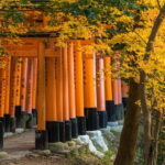 From Osaka: Sagano Train Ride and Kyoto Guided Day Tour - A Deep Dive into the Kyoto Day Tour from Osaka