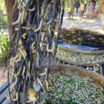 From Phnom Penh: Half-Day Silk Island Tour with Guide - The Sum Up