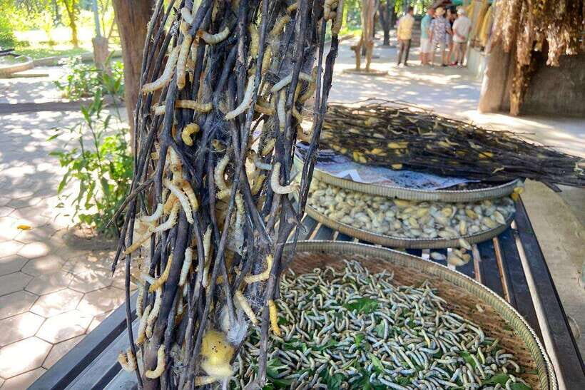 From Phnom Penh: Half-Day Silk Island Tour with Guide - The Sum Up