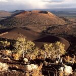 From Phoenix Private Custom Flagstaff Day Tour - Who Will Find This Tour Most Valuable?