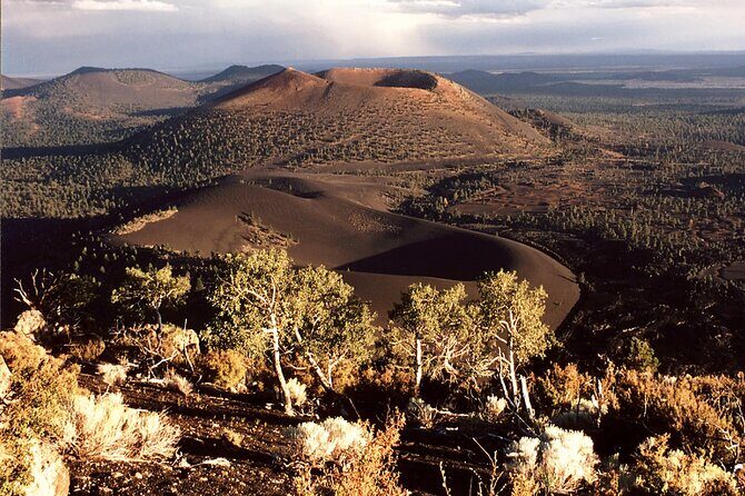 From Phoenix Private Custom Flagstaff Day Tour - Who Will Find This Tour Most Valuable?