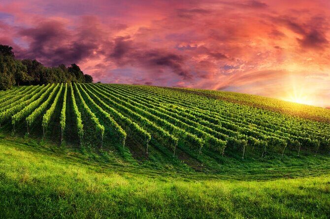 From Phoenix Private Vortex to Vineyard Tour - Touring Sedonas Town and Surroundings