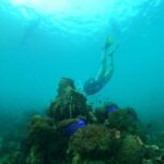 From Phu Quoc: Discover 4 Islands by Speedboat Full Day Tour - End of the Day and Return