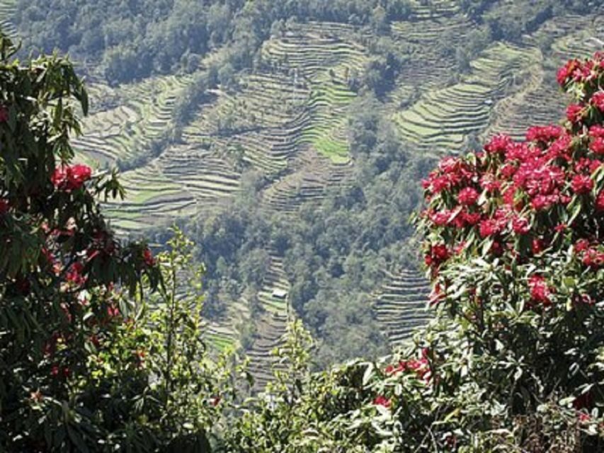 From Pokhara: 2-Day Scenic Australian Camp Trek - Who Should Consider This Trek?