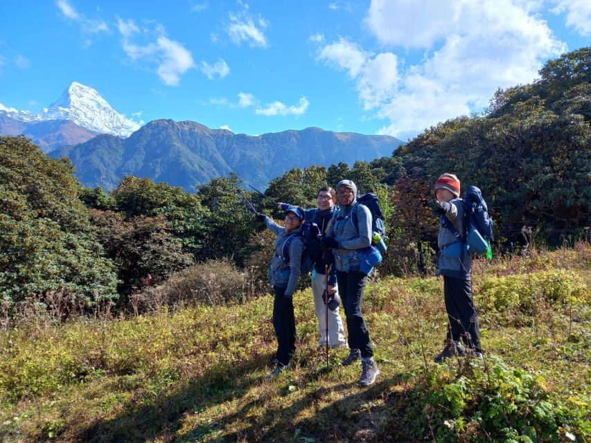 From Pokhara: 2-Day Trek to Australian Camp & Dhampus - A Closer Look at the Trek Experience