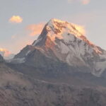 From Pokhara: 4-Day Annapurna Sunrise Trek and Chitwan Tour - Final Thoughts