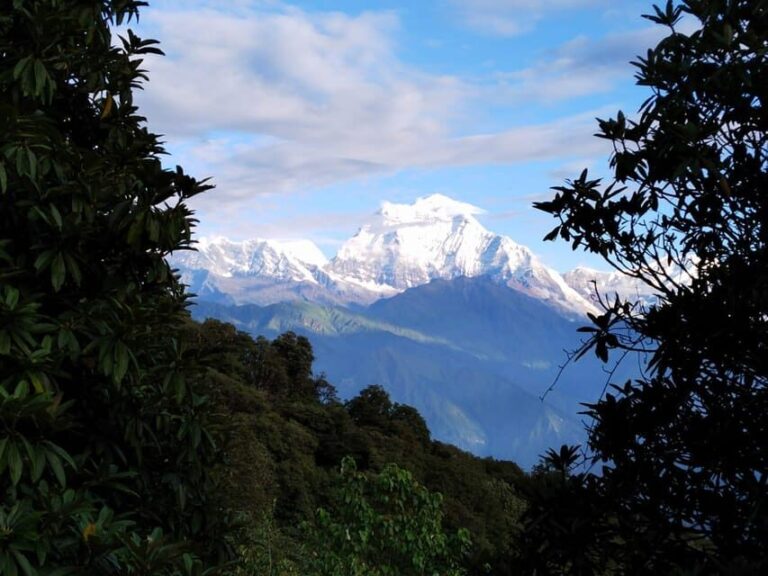 From Pokhara: 5 Day Poon Hill with Natural Hot Spring Trek - Logistics and Cost-Effectiveness