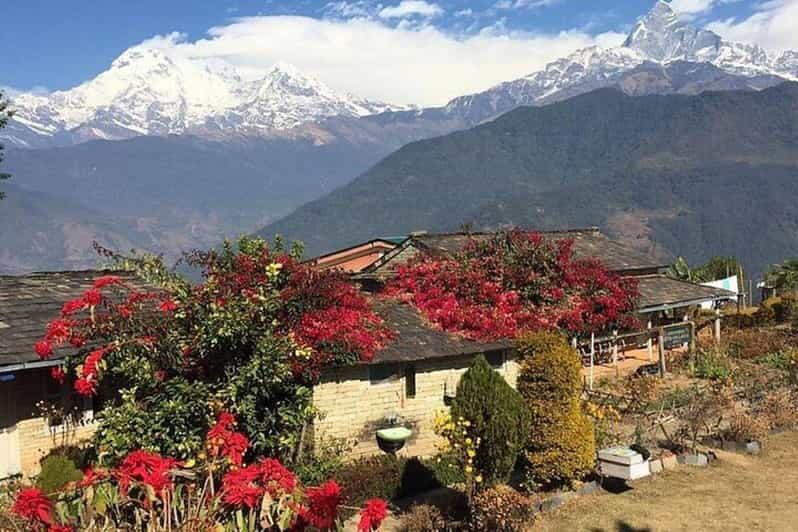 From Pokhara: Full Day Hiking to Astam Village - Exploring the Full-Day Hike: What to Expect