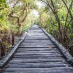 From Pondicherry: Private Day tour to Chidambaram ! - Exploring the Full Experience: A Deep Dive into the Tour