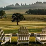 From Portland Private Willamette Valley Wine Tour - Why Choose This Tour?