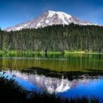 From Portland to Mt. Rainier Tour in a Small Group - An In-Depth Look at the Experience