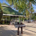 From Puerto Princesa: Honda Bay Island Hopping Full-Day Tour - Final Thoughts: Who Is This Tour Best For?